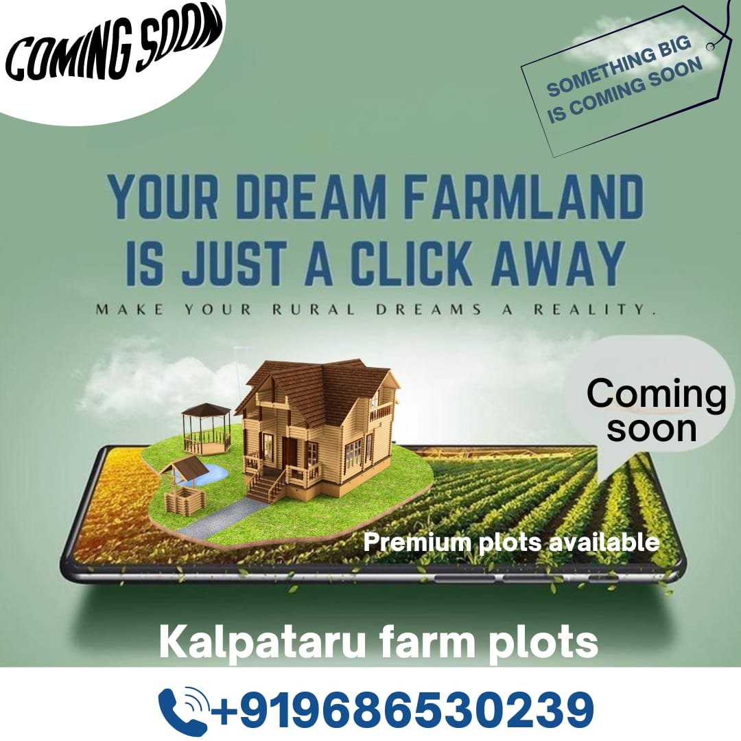 WhatsApp Image 2025-05-14 at 10.16.23 PM